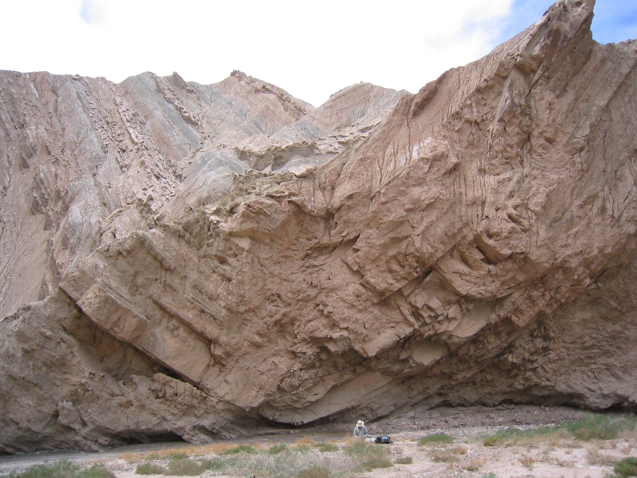 Core of a syncline (concave up fold) in Miocene (24-5 million years) sandstone and shale from the western Tarim Basin, China.